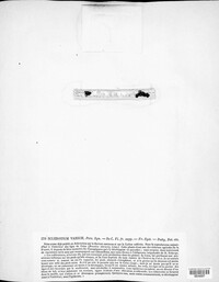 Image of Sclerotinia sclerotiorum